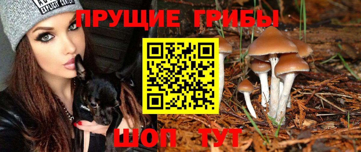 Псилоцибиновые грибы GOLDEN TEACHER Рассказово