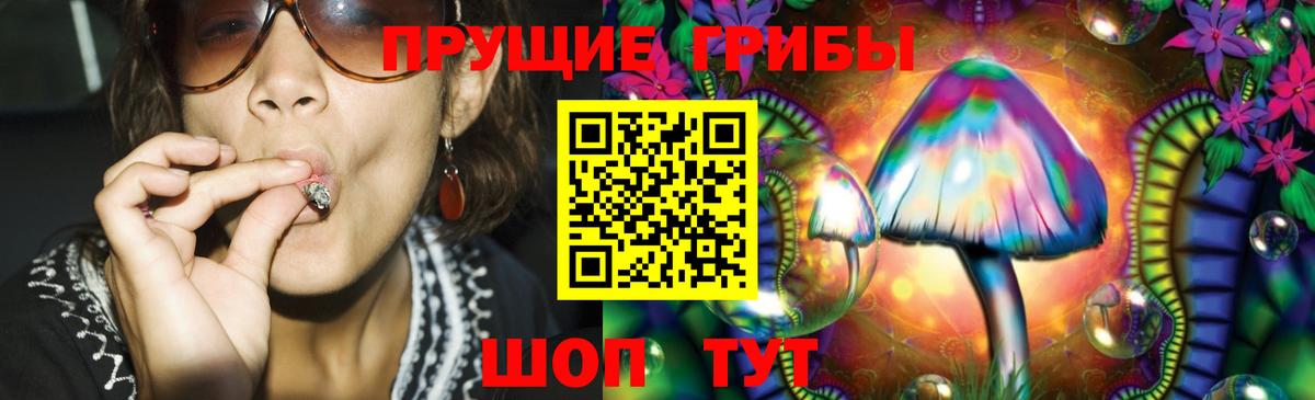 Галлюциногенные грибы Psilocybe  Вход с VPN  Псилоцибиновые грибы Psilocybine cubensis  Рассказово 